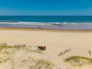 Beach nearby - Abby Gale Dog Friendly Corolla Escape w/ Pool & Hot Tub (Corolla)