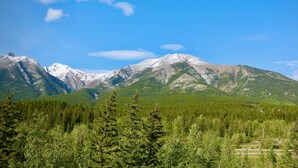 Un paisaje montañoso con un bosque denso en primer plano y picos nevados al fondo.
