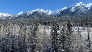 Paisaje montañoso con picos nevados y un bosque en primer plano.