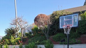 Ein Basketballplatz mit Korb, umgeben von einer Steinmauer und Grünpflanzen.