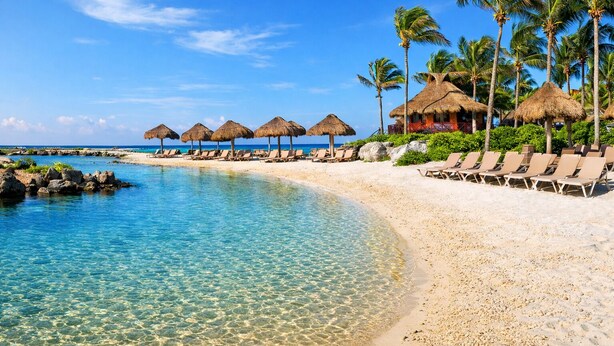 Un complexe hôtelier de bord de mer avec une eau turquoise cristalline, des parasols en feuilles de palmier et des palmiers.