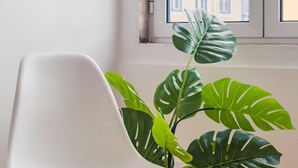 Una silla blanca, una planta de monstera en maceta y una ventana con vistas a edificios.