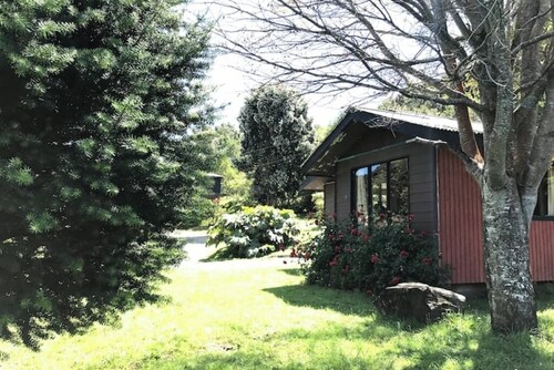 Los Helechos 1 Cabins