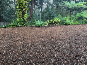 Property grounds - Where the Bush Meets the Beach: Nature’s Perfect Escape (Erina Heights)