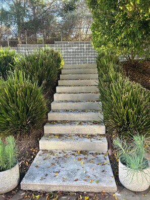 A set of concrete steps leading up to a brick wall, surrounded by trimmed hedges and potted plants. - Where the Bush Meets the Beach: Nature’s Perfect Escape (Erina Heights)