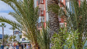 A palm tree in the foreground with a multi-story building in the background. - Inftour Oceanic 6 Apartamento (Calp)