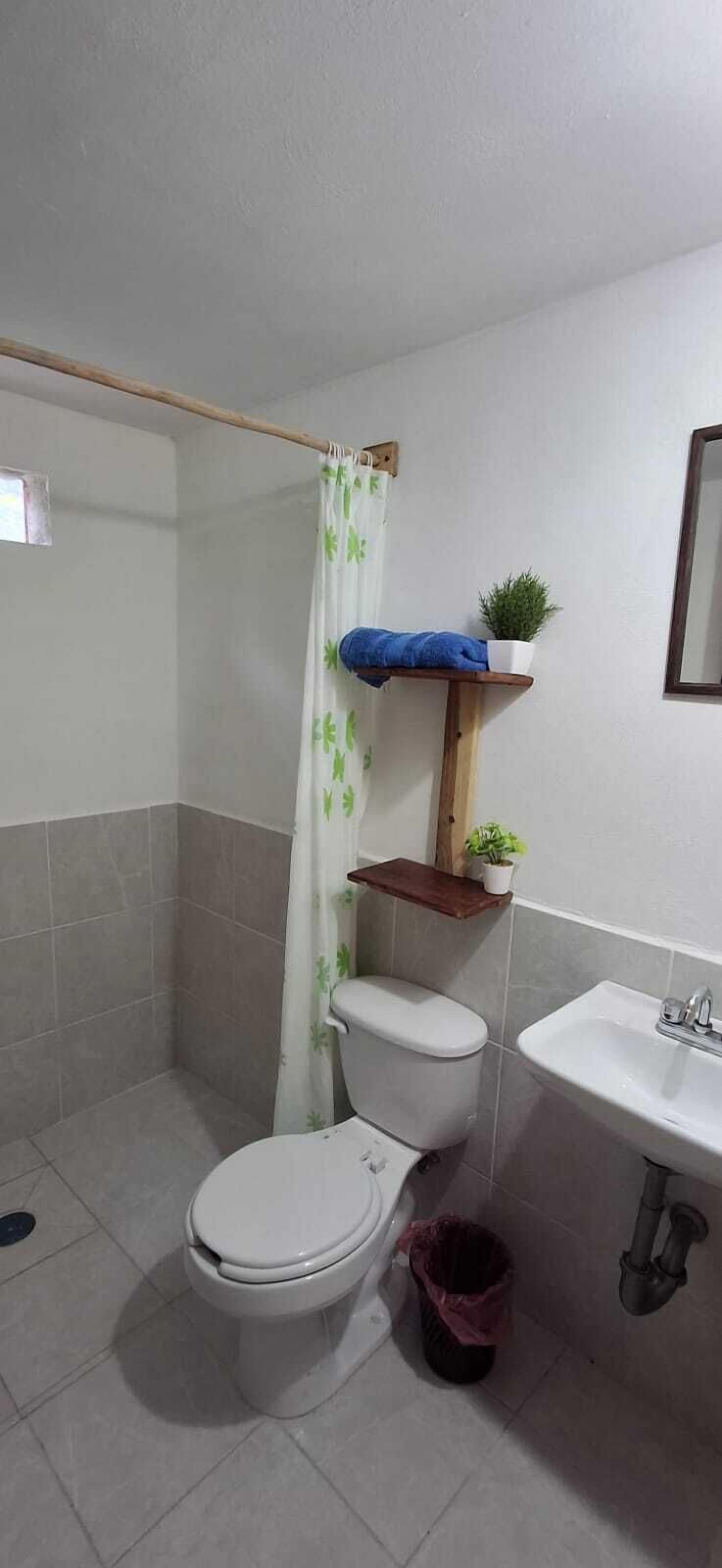 Comfort Room, Patio, Courtyard View | Bathroom | Shower, towels, soap, shampoo