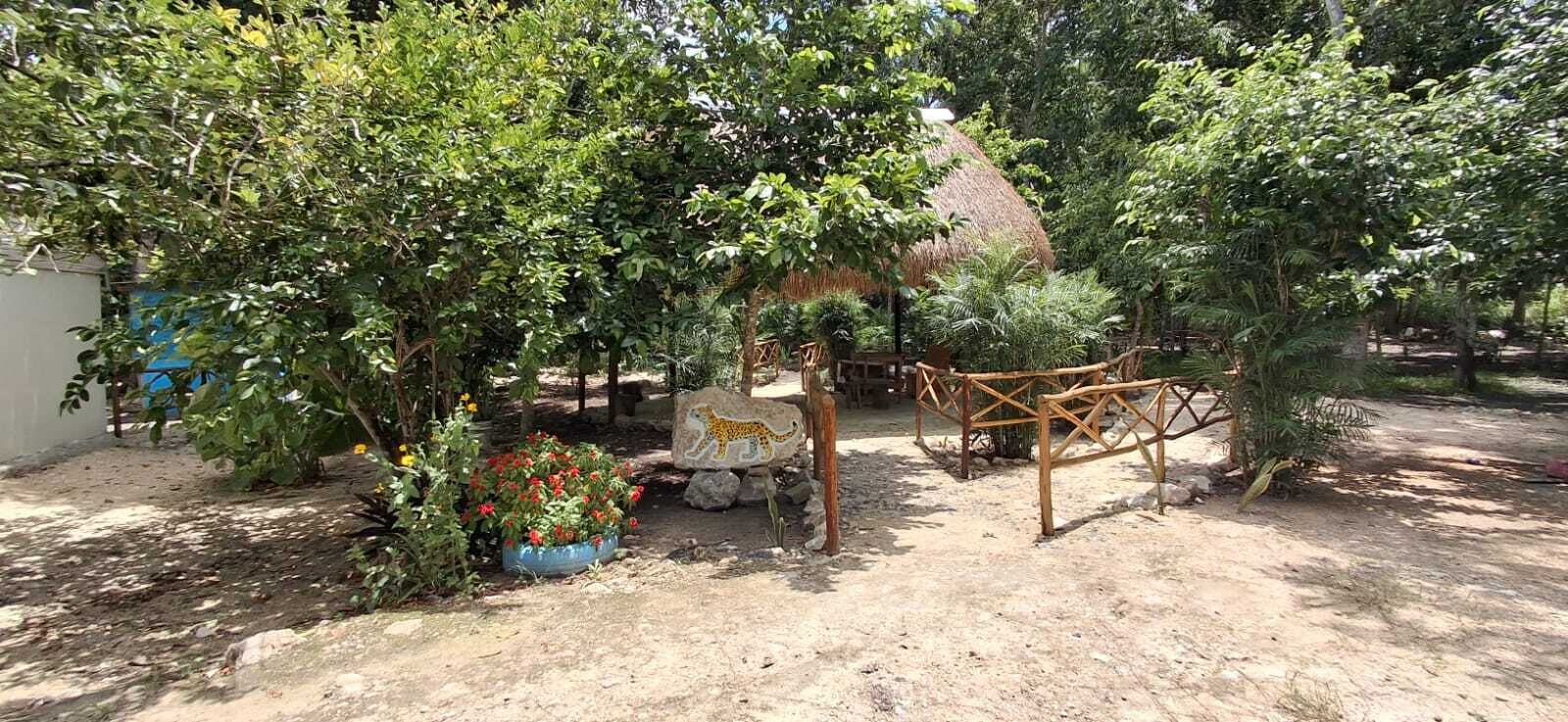 Un jardín con árboles, una estructura de techo de paja y una valla de madera.
