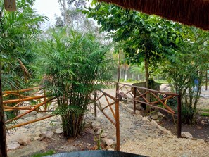 Un jardín con diversas plantas, una cerca de madera y una estructura con tejado de paja.
