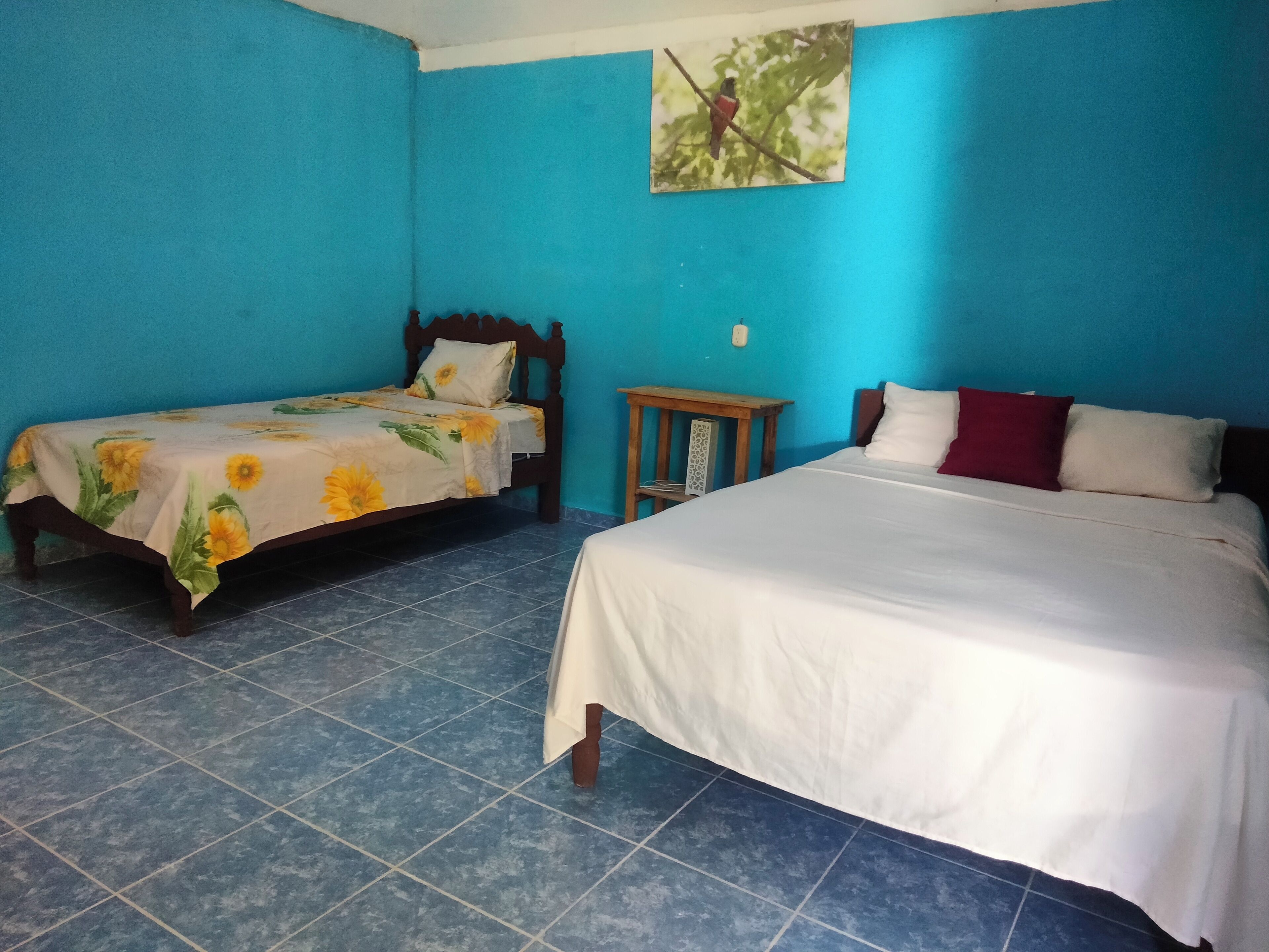 Habitación Confort, patio, vista al patio