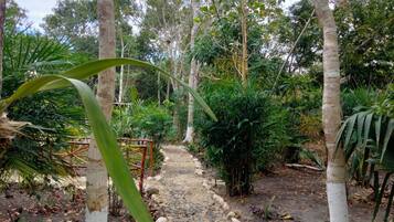 A pathway surrounded by trees and greenery.