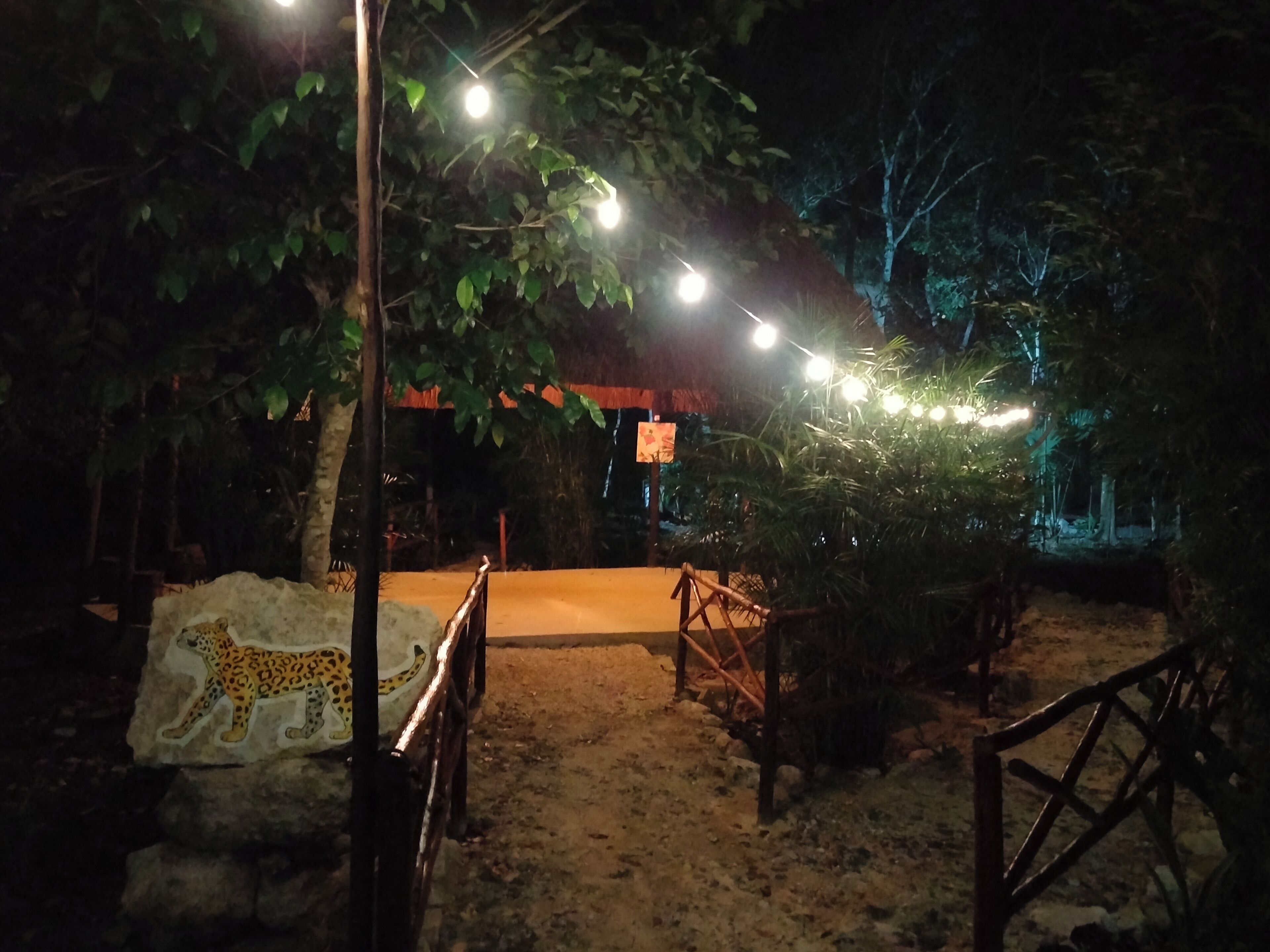 A nighttime outdoor area with string lights, a pathway, and a leopard mural.