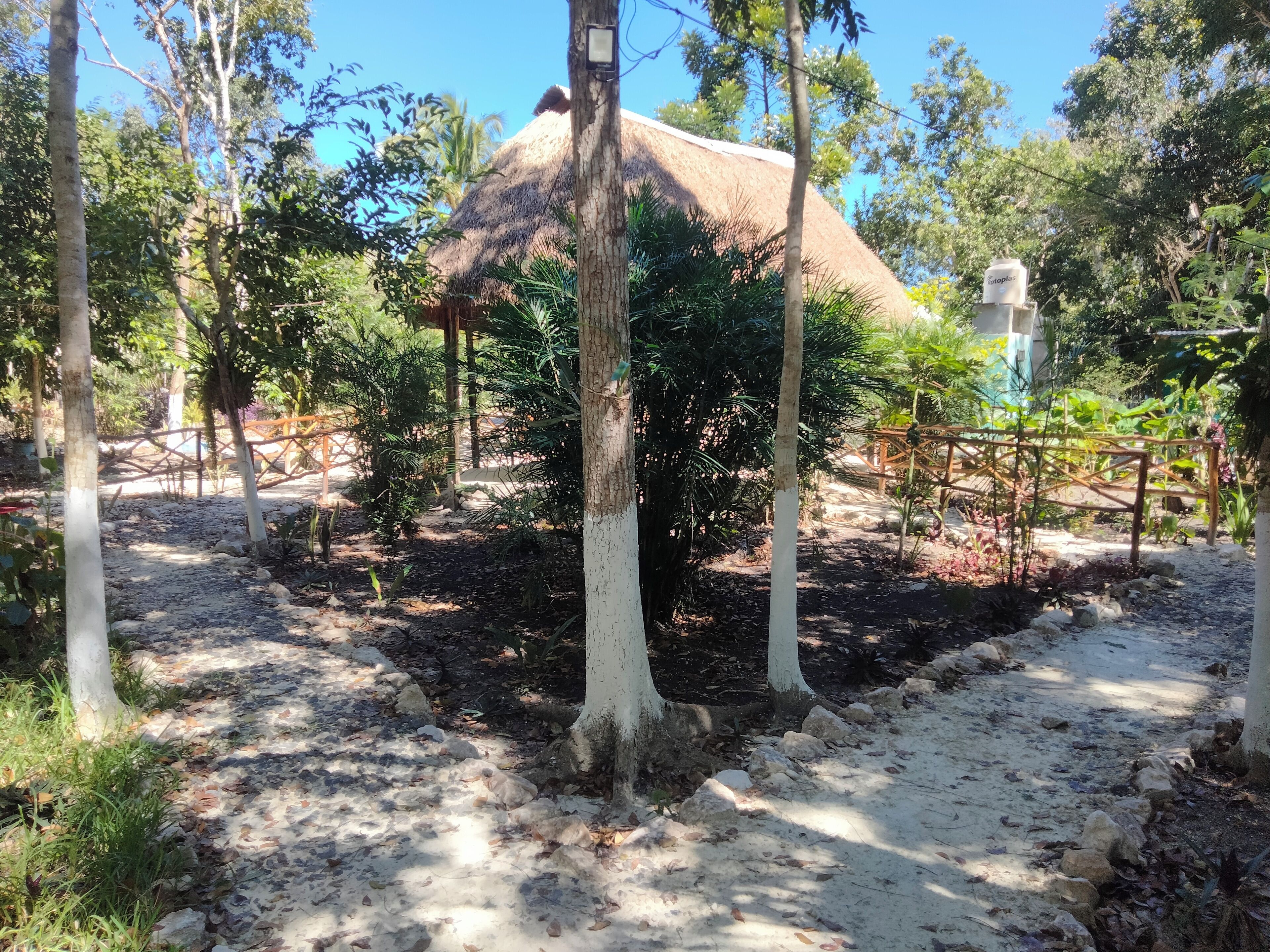 A thatched-roof structure surrounded by trees and a dirt path.