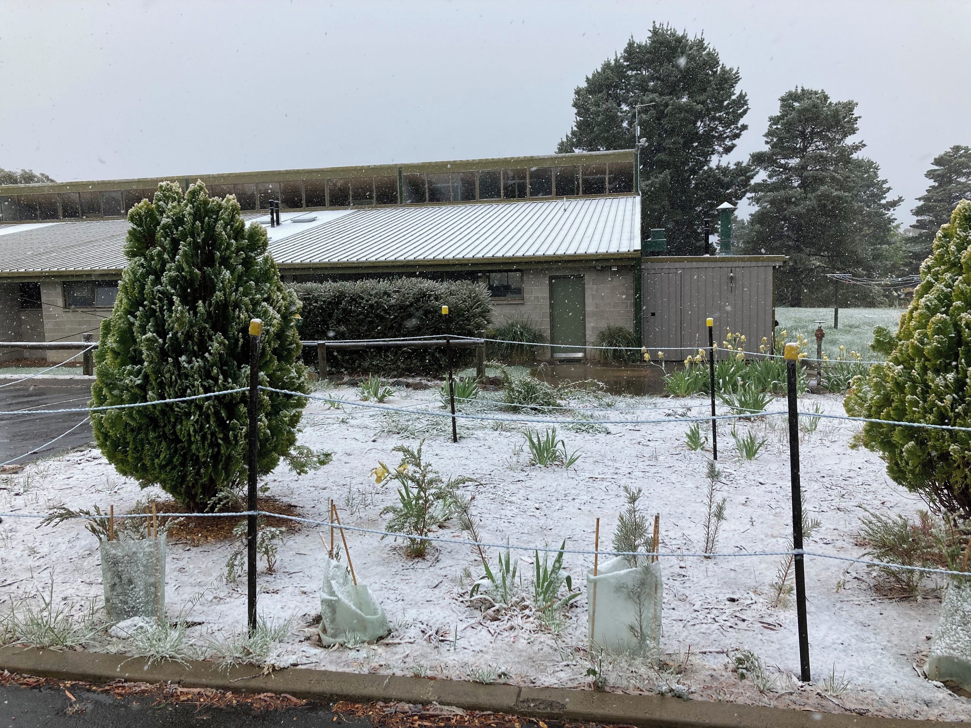 Áreas de la propiedad