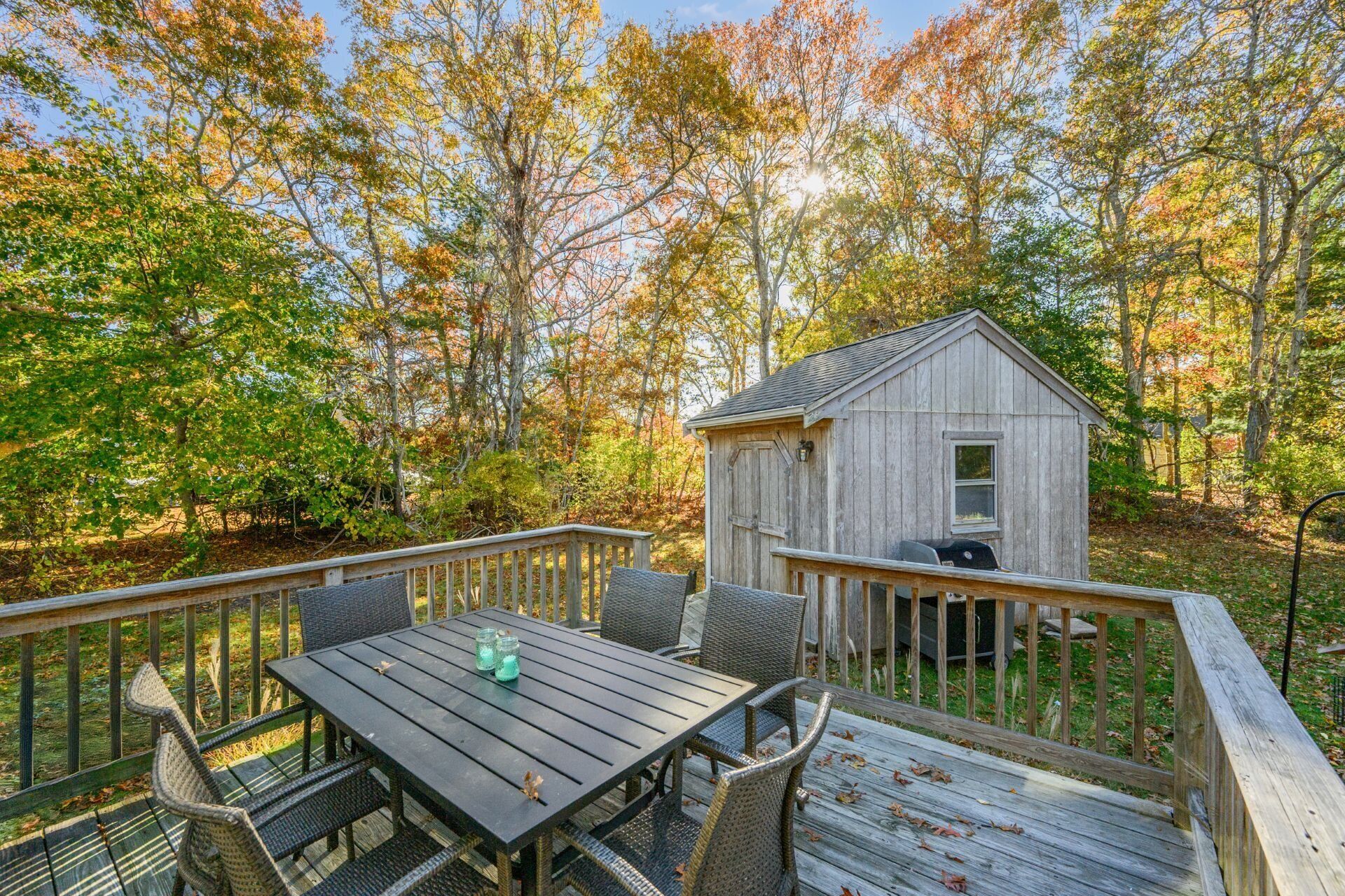 A wooden deck with a table and chairs, a small shed, and a forested backdrop.