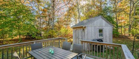 A wooden deck with a table and chairs, a small shed, and a forested backdrop.