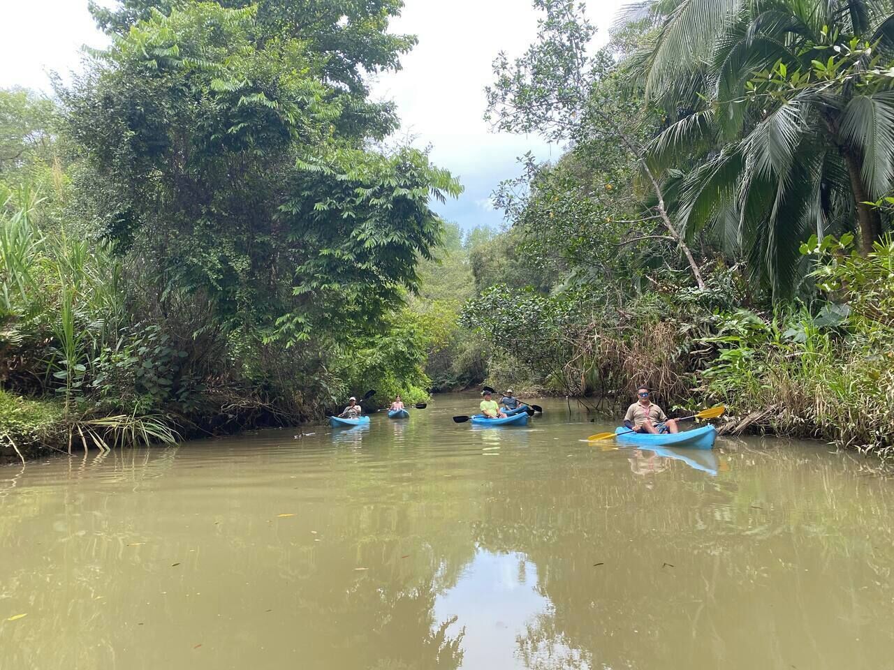Une rivière paisible où l’on peut faire du kayak, bordée d’une végétation luxuriante.