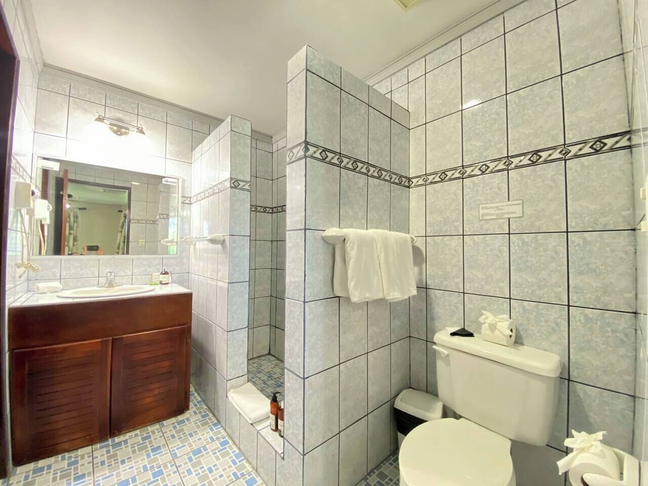 A bathroom with a wooden vanity, a white sink, a toilet, and a shower area.