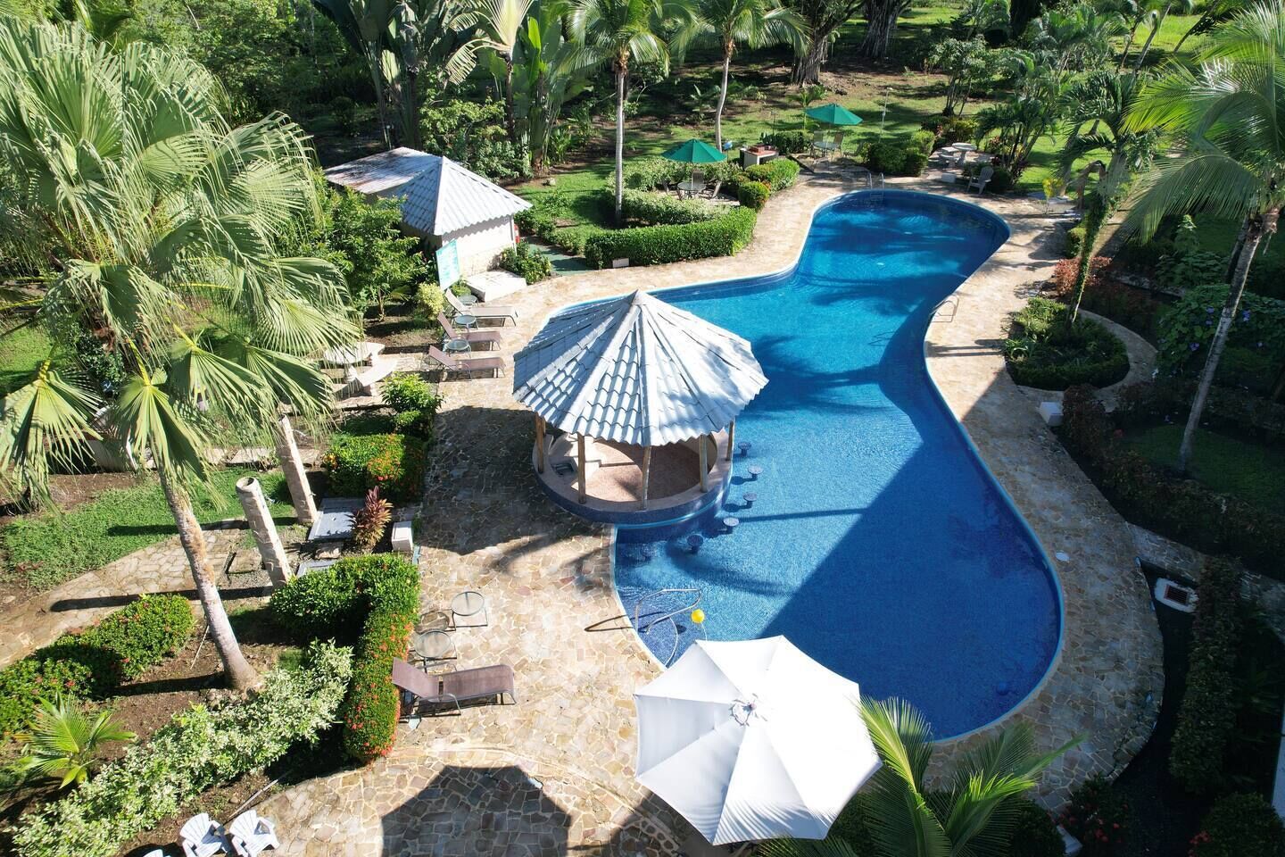 Une grande piscine à la forme incurvée, entourée de palmiers et de chaises longues.