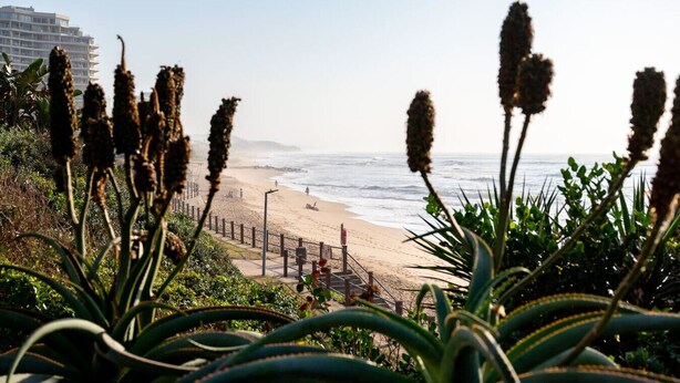Una playa con un paseo de madera, vista al océano y edificios al fondo.