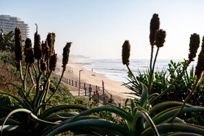 Ein Strand mit einer Holzpromenade, Blick aufs Meer und Gebäuden im Hintergrund.