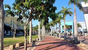 Un sendero pavimentado bordeado de palmeras y bancos, que conduce a un edificio de fachada azul.