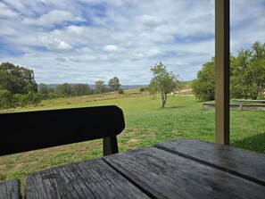 Property grounds - Entire Home in Quorrobolong, lots of space, beautiful country, lots of wildlife (Quorrobolong)