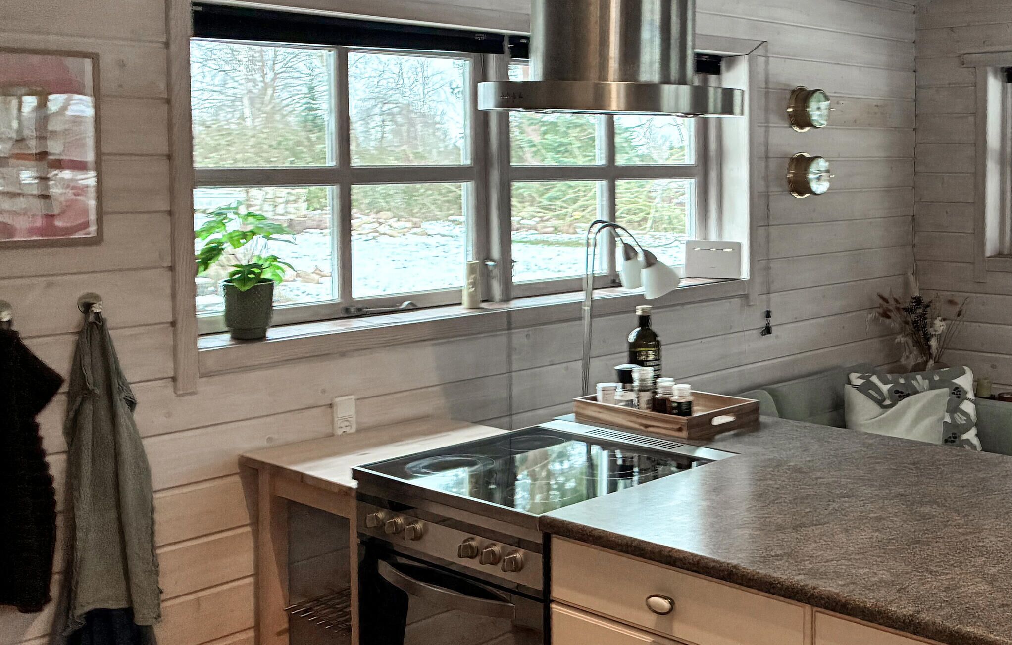 Fridge, stovetop, dishwasher