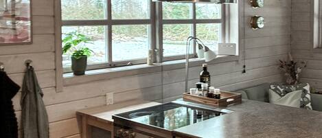 Fridge, stovetop, dishwasher