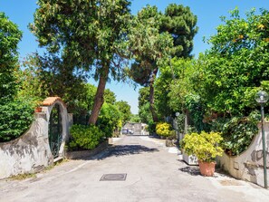 A street with trees and a manhole cover. - Casa Sofia (Sorrento)