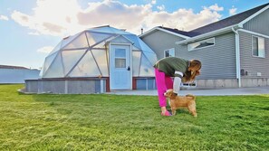 Uma pessoa com um cão num jardim gramado, com uma casa e um estufa ao fundo.