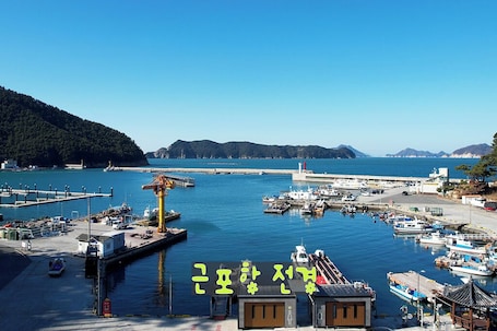 Marina. 근포항이 내려다 보이는 아늑한 신축 팬션이며, 37평 실내 공간과 야외 바베큐장이 있습니다.
가까이에는 해금강과 근포땅굴, 장사도가 있습니다.