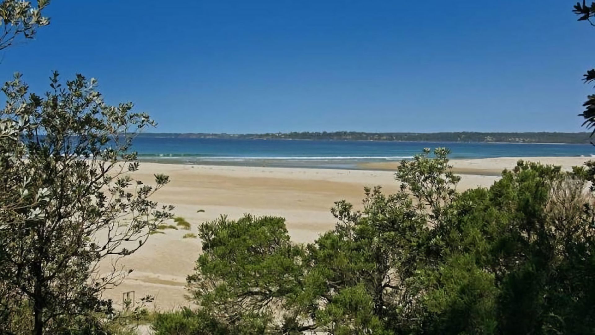 A beach with clear skies, sandy shore, and dense greenery in the foreground.