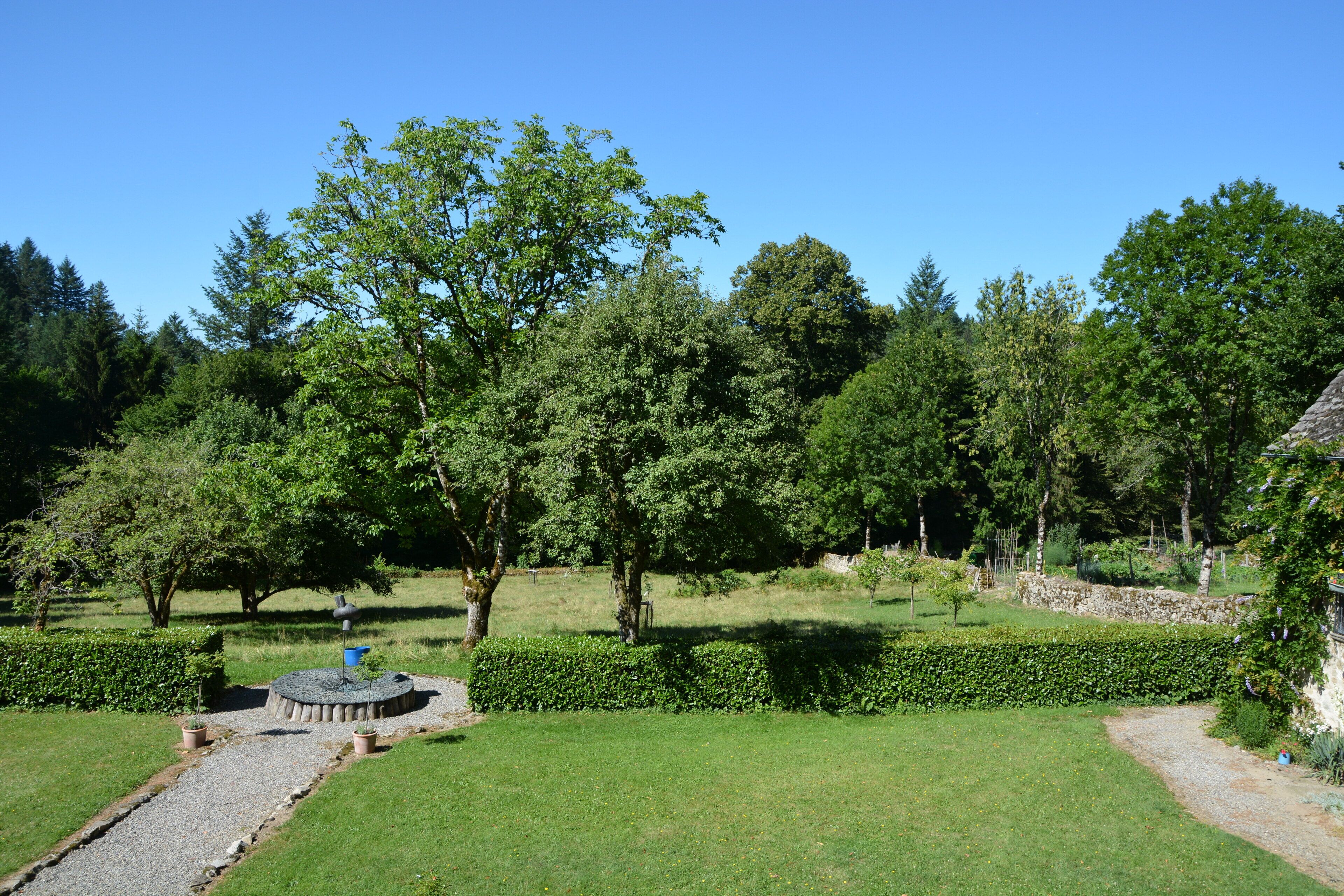 A View of the Orchard from the Green Room