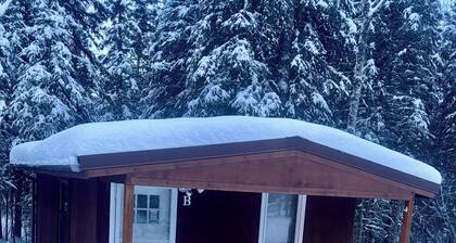 Cozy Studio Cabin in Kasilof – Comfort Close to Nature