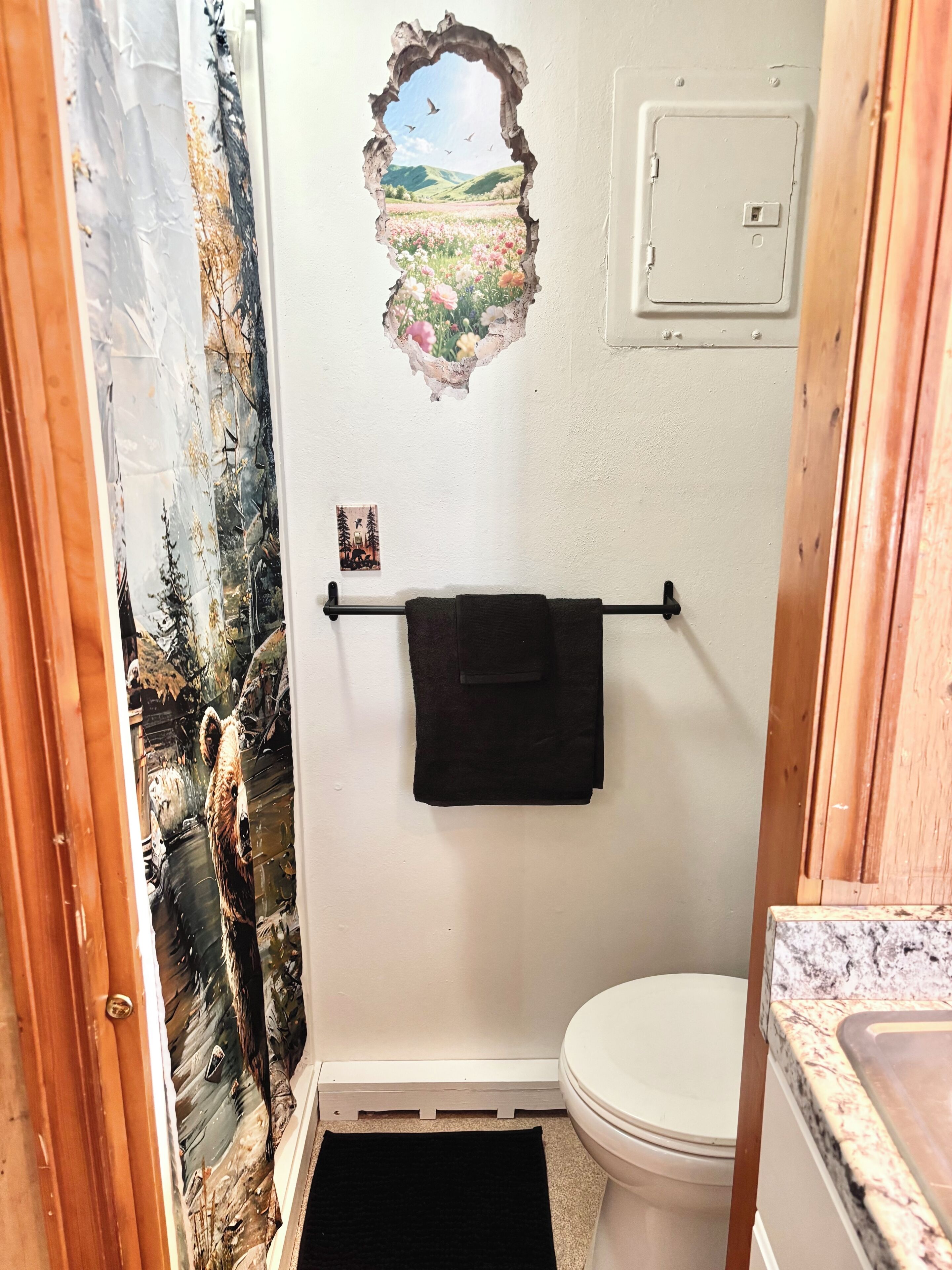 Shower, towels, soap, toilet paper