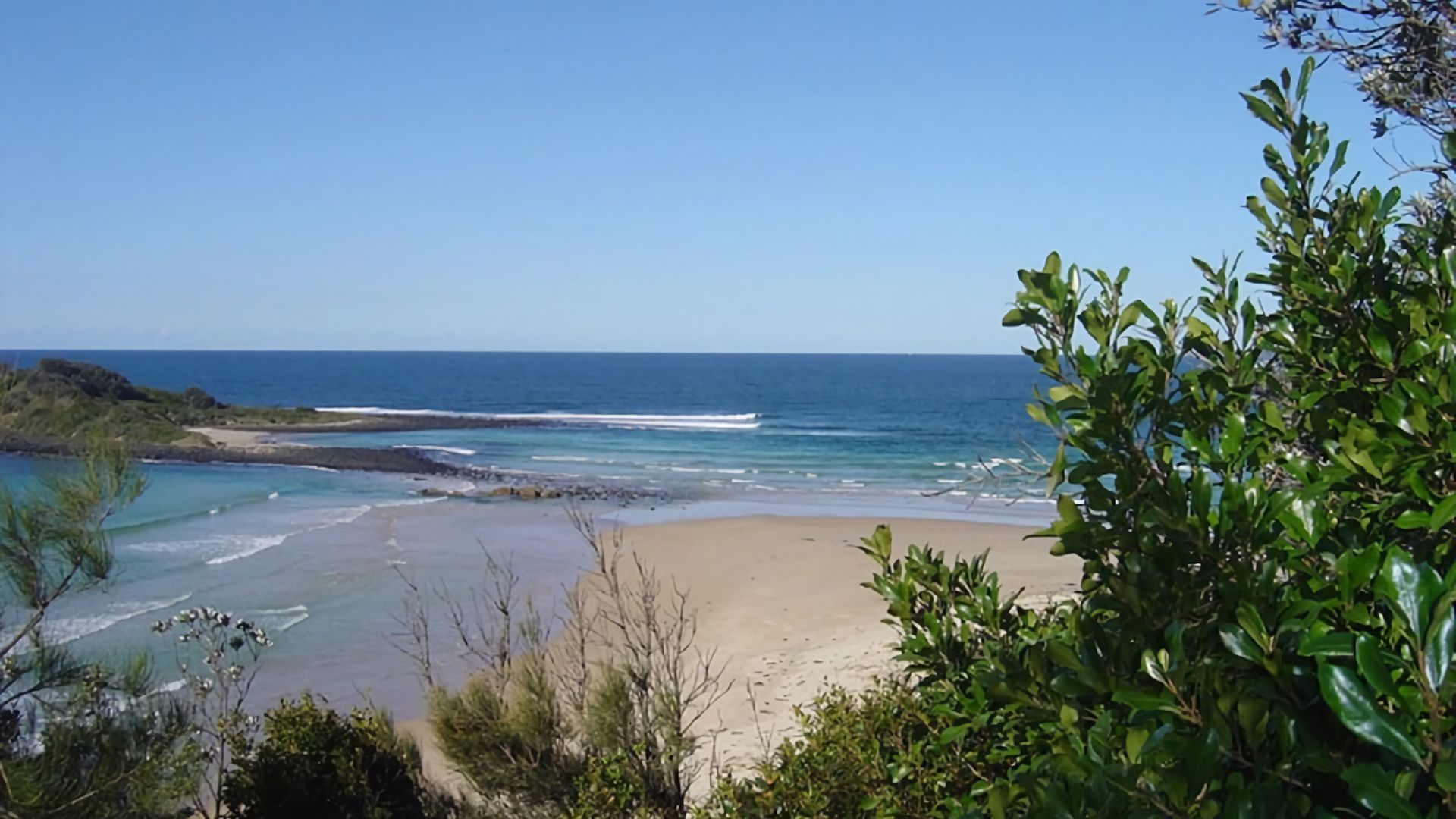 A coastal landscape with a sandy beach, ocean waves, and dense greenery.