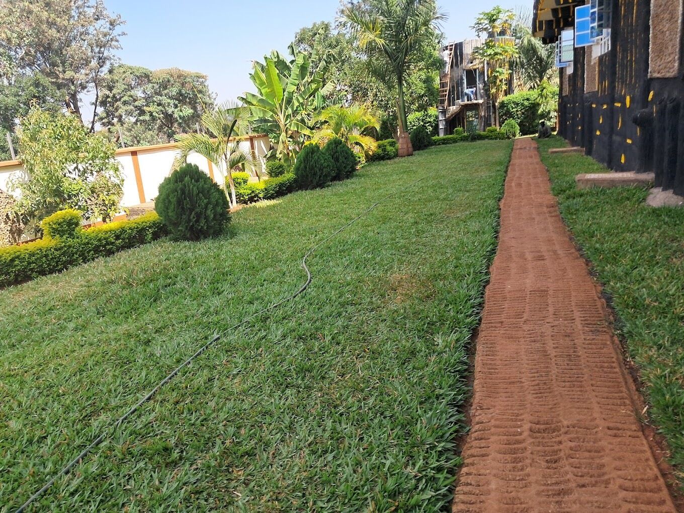 Un sendero atraviesa un jardín bien cuidado, con césped impecable y diversos arbustos.