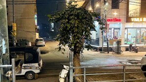 A street view at night with a tree in the foreground, a parked scooter, and a building with illuminated signage. - Shri Kamal Dham Hotel Vrindavan (Vrindavan)
