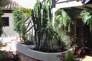 Property grounds - Apartment with Sea View for Adults Only (Icod de los Vinos, Tenerife)