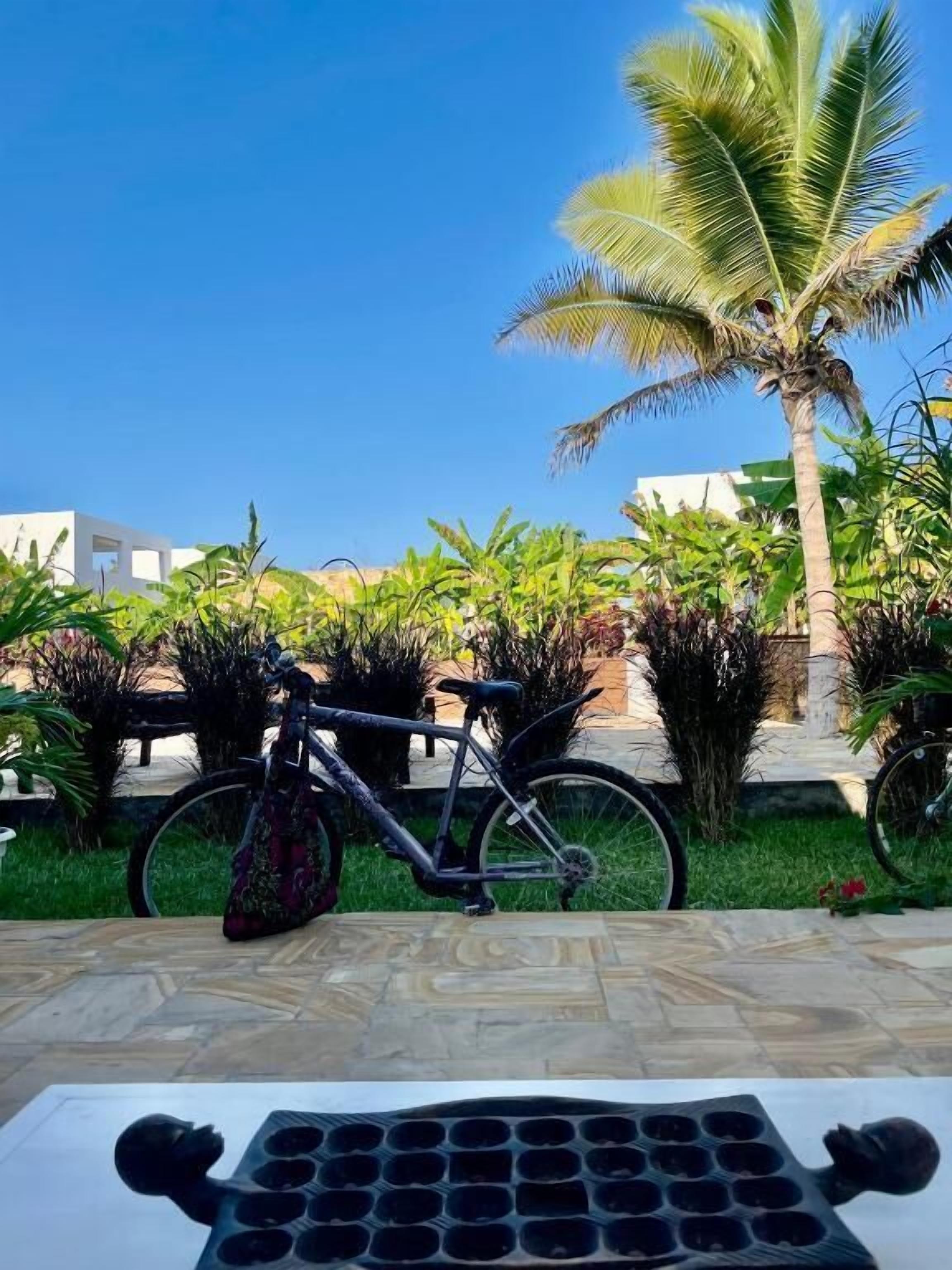 Een fiets geparkeerd in een tuin met een palmboom en een betegeld terras.