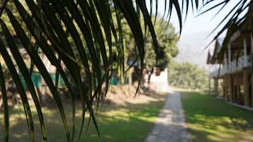 Jardines del alojamiento