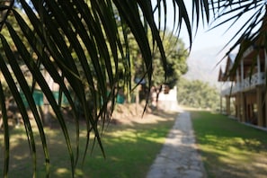 Property grounds - High Bank Himalayan Retreat Eco Resort (Rishikesh, Uttarakhand, India)