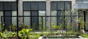 Olive Athena Guesthouse