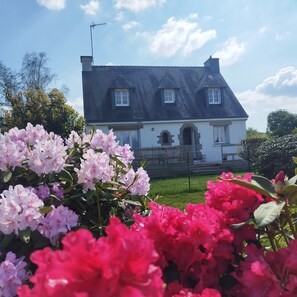 Property grounds - Gulf & Ocean ideal family home close to the sea (La Trinité-Surzur)