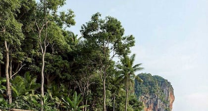 Amber Yao Noi