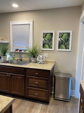 A kitchen with a granite countertop, stainless steel sink, and wooden cabinets. There are two potted plants on the counter and a trash can to the right. - Stylish and comfortable! House close to downtown Akron. (Akron)