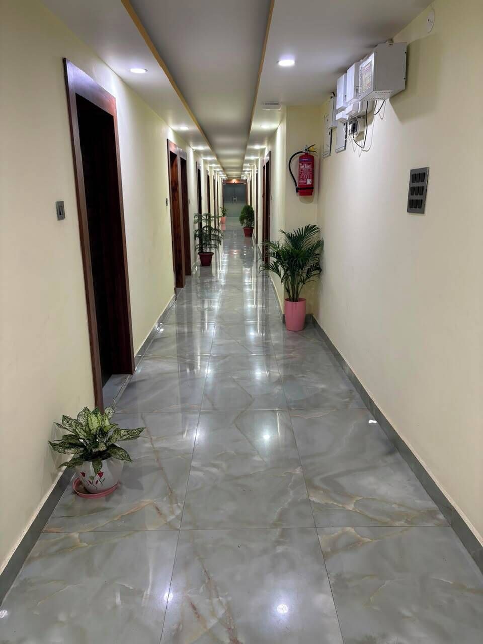 A hallway with a shiny tiled floor, doors on both sides, and potted plants.