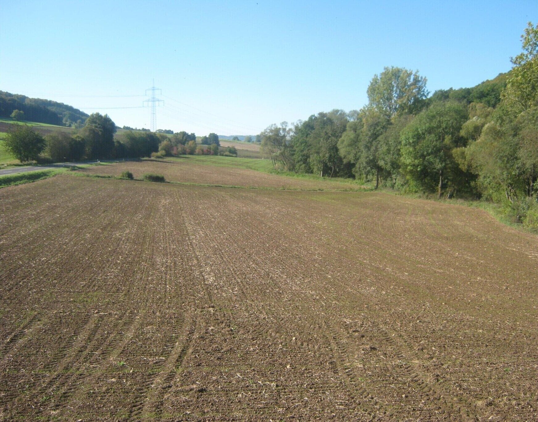 A vast, open field with a power line tower in the distance.