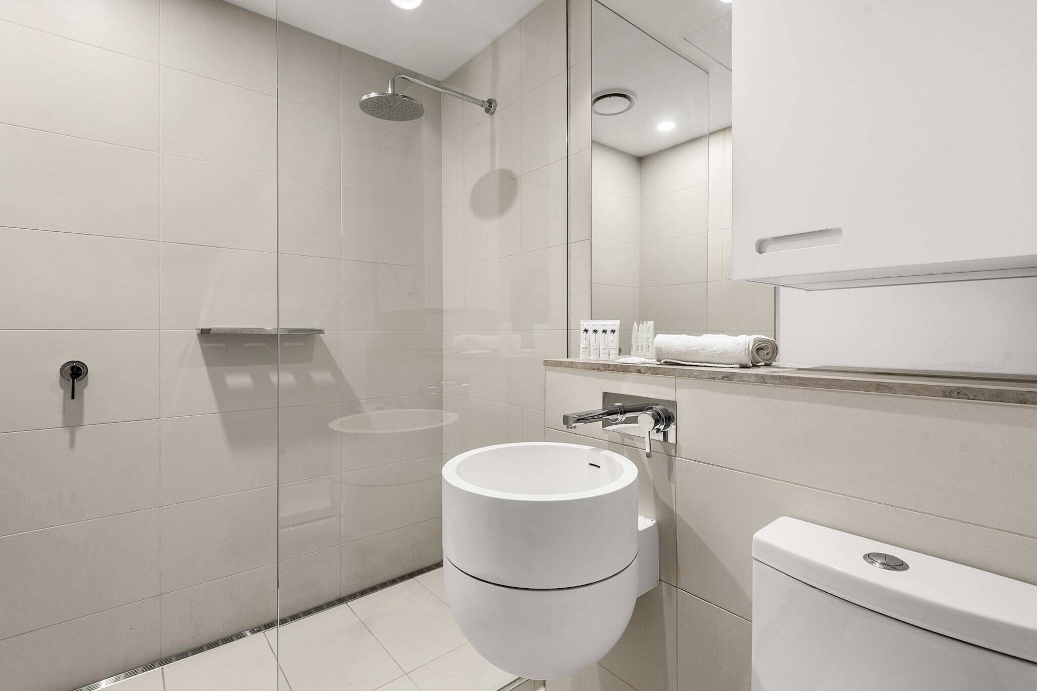 Shower, hair dryer, towels